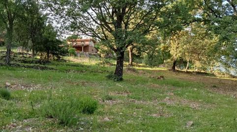 Land for sale in Ex-203, Villanueva de la Vera
