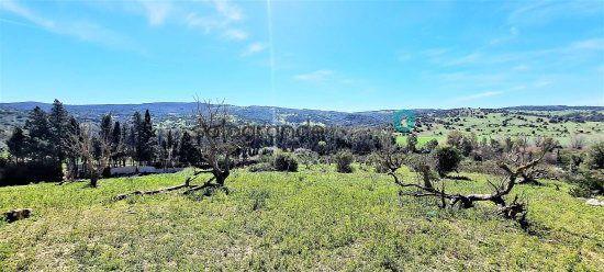 Rustic property for sale in San Enrique – Guadiaro – Pueblo Nuevo