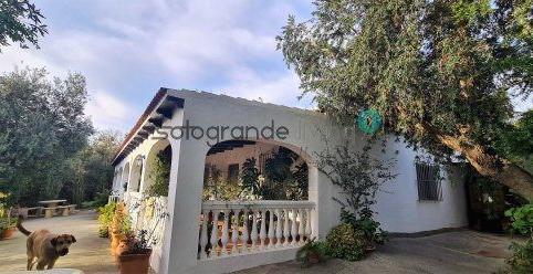 Rustic property for sale in San Enrique – Guadiaro – Pueblo Nuevo