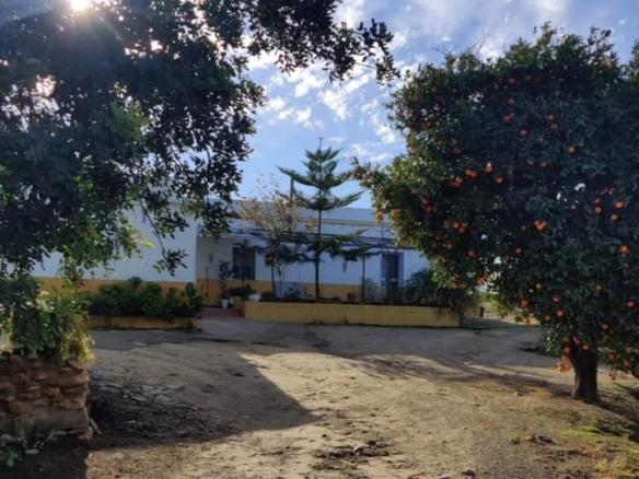 Rustic property for sale in Arcos de la Frontera
