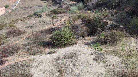 Rustic property for sale in Arcos de la Frontera