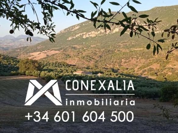 Rustic property for sale in N/a, Algodonales