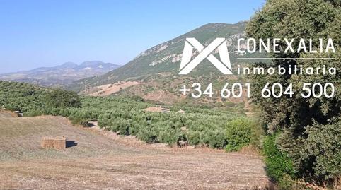 Rustic property for sale in N/a, Algodonales