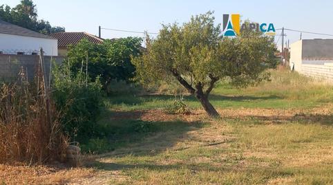 House or villa for sale in Las Lagunas – Campano