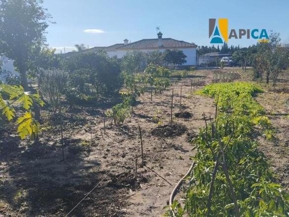 House or villa for sale in Las Lagunas – Campano