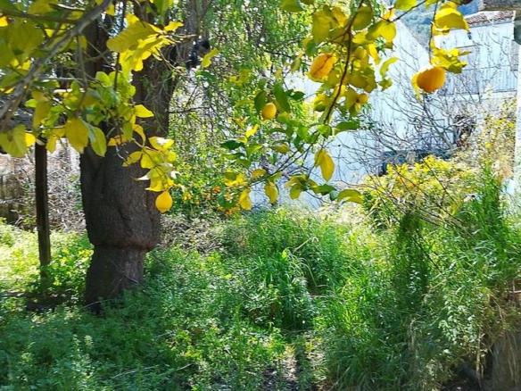 Residential property for sale in Plaza de la Asamblea, Grazalema