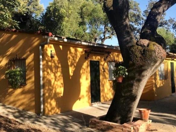 House or villa for sale in El Bosque