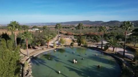 Rustic property for sale in Arcos de la Frontera