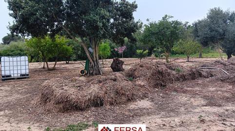 House or villa for sale in Cuatro Pinos – El Carmen