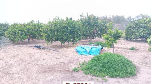 House or villa for sale in Cuatro Pinos – El Carmen