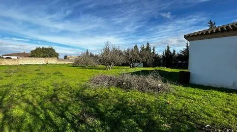 House or villa for sale in Los Franceses – La Vega