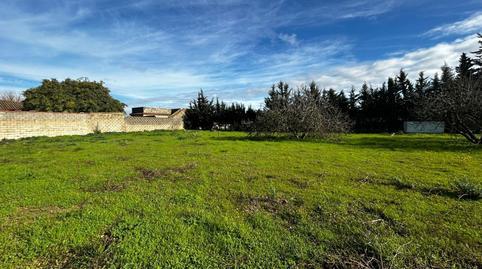 House or villa for sale in Los Franceses – La Vega
