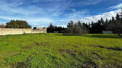 House or villa for sale in Los Franceses – La Vega