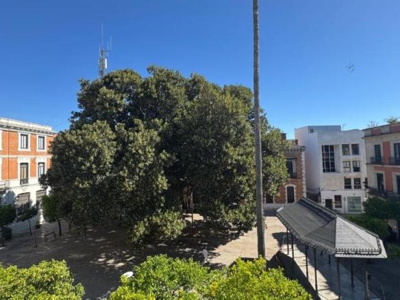 House or villa for sale in the city center
