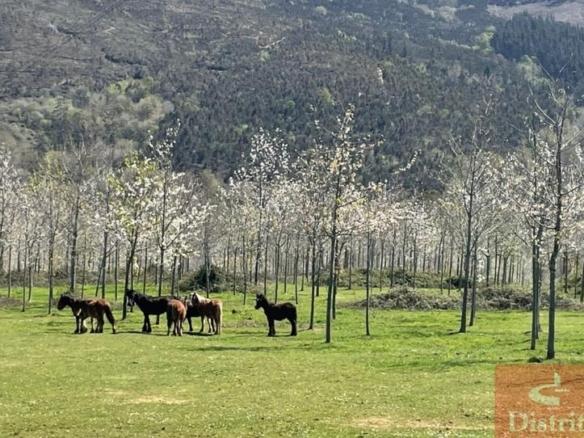 Residential property for sale in Valdáliga – Barrio la Herrería, Valdáliga