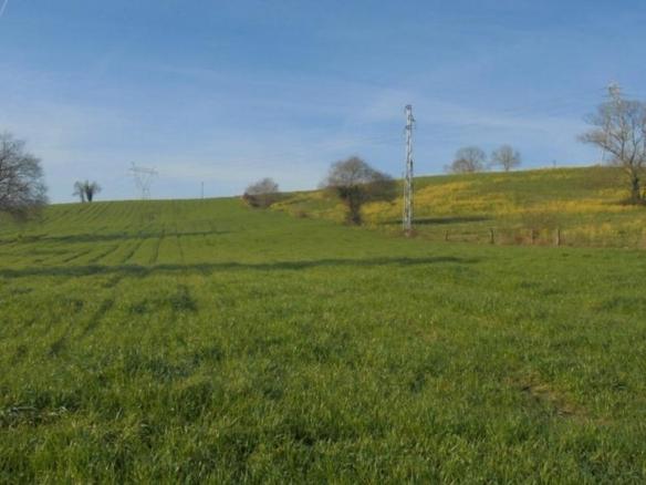 Land for sale in Penagos