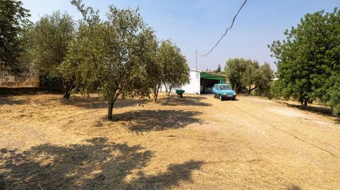 Rustic property for sale in Calle de Moraleda a Cómpeta, 22, Moraleda de Zafayona
