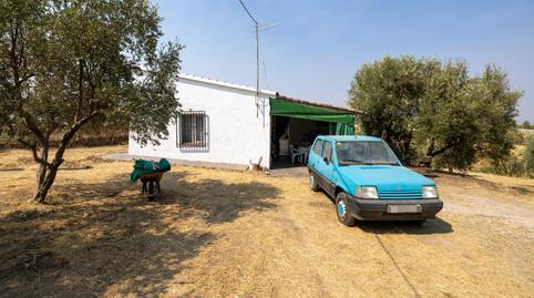 Rustic property for sale in Calle de Moraleda a Cómpeta, 22, Moraleda de Zafayona