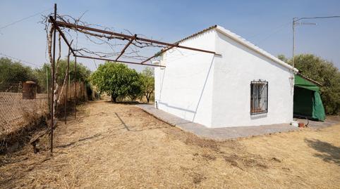 Rustic property for sale in Calle de Moraleda a Cómpeta, 22, Moraleda de Zafayona