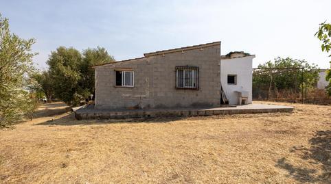 Rustic property for sale in Calle de Moraleda a Cómpeta, 22, Moraleda de Zafayona