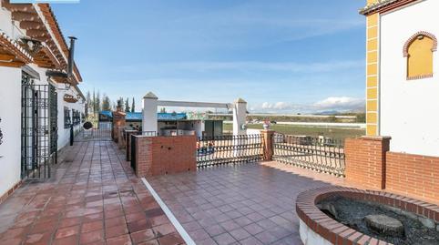 Rustic property for sale in Ctr Santafe S/n, Rosaleda – Juventud