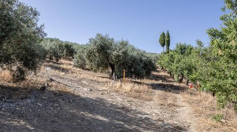 Land for sale in Polígono Poligono 51 Parcela 44, 51, Montefrío