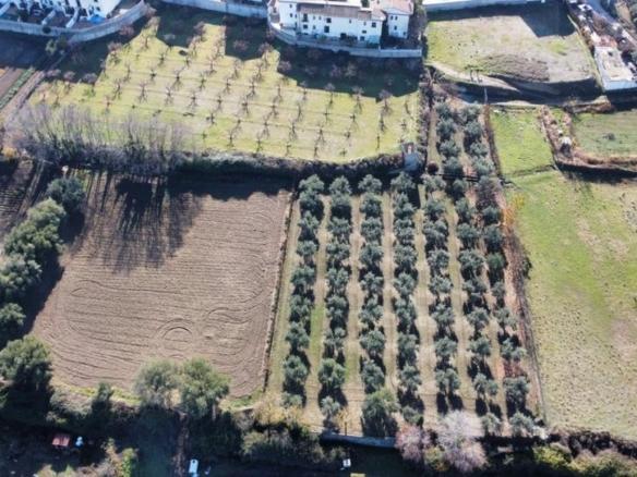 Rustic property for sale in La Zubia City