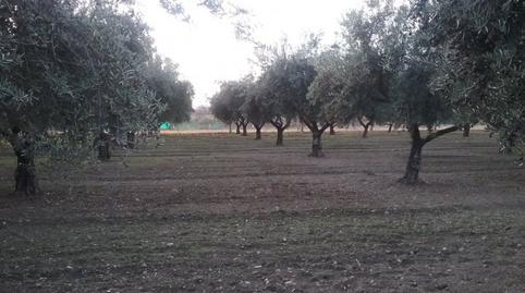 Rustic property for sale in La Zubia City