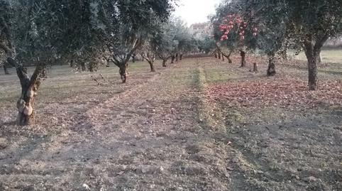 Rustic property for sale in La Zubia City