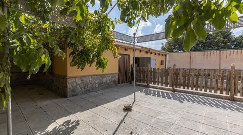 Rustic property for sale in Polideportivo