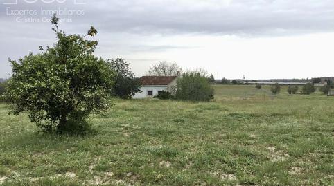 Rustic property for sale in Almonte town