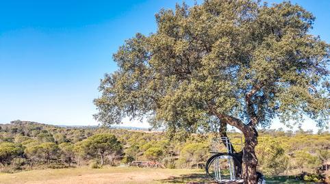 Rustic property for sale in Diseminado Fotea, Ayamonte city