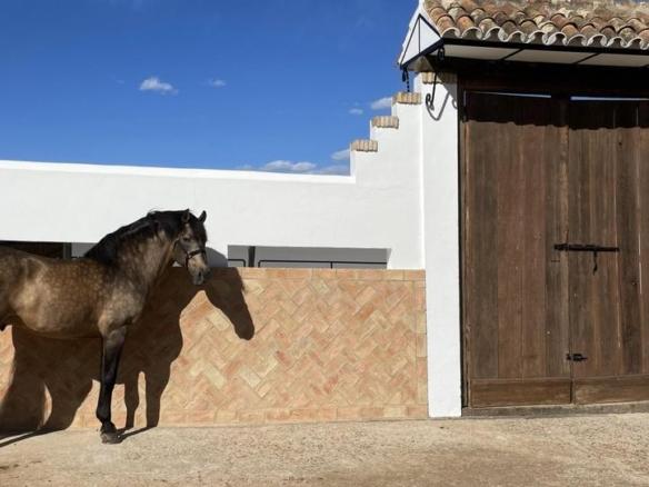 Rustic property for sale in Paterna del Campo