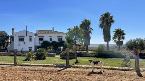 Rustic property for sale in Paterna del Campo