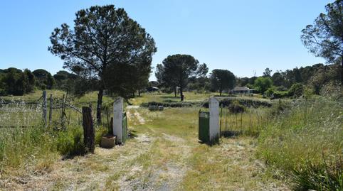 Rustic property for sale in Lucena del Puerto