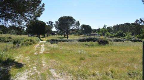 Rustic property for sale in Lucena del Puerto