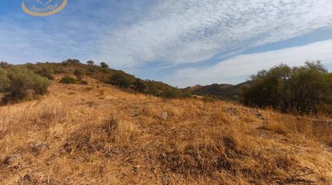 Land for sale in N/a, -1, Sanlúcar de Guadiana