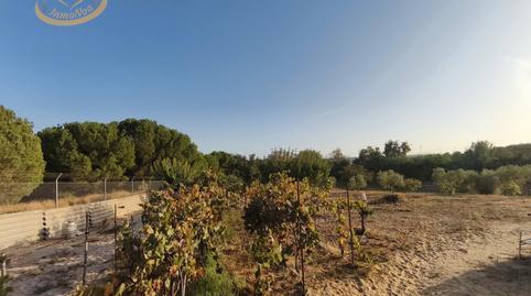 Land for sale in Cartaya