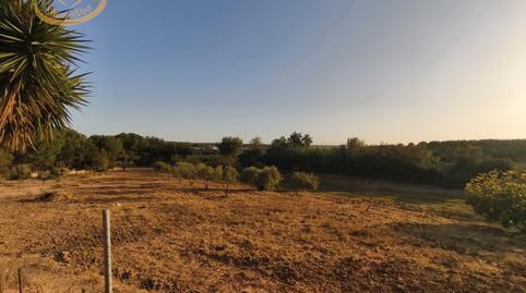 Land for sale in Cartaya