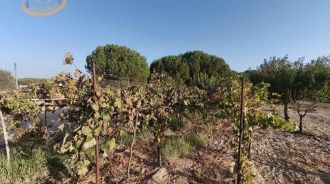 Land for sale in Cartaya