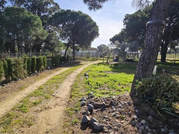 Rustic property for sale in Gibraleón