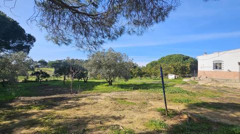 Rustic property for sale in Gibraleón