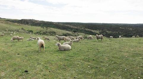 Rustic property for sale in Valverde del Camino