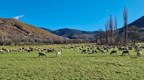 Land for sale in Castejón de Sos
