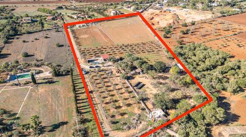Rustic property for sale in Carrer de Sa Fira, 1, Llucmajor village