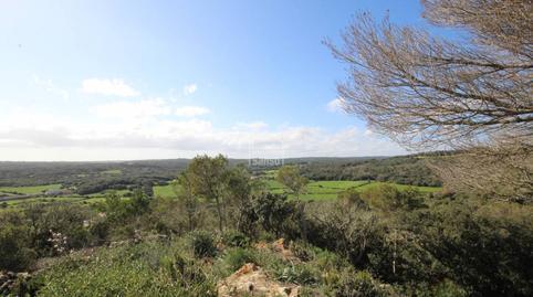 House or villa for sale in Es Grau – Serra Morena