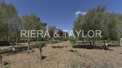 Rustic property for sale in Sant Llorenç des Cardassar