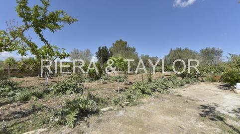 Rustic property for sale in Sant Llorenç des Cardassar