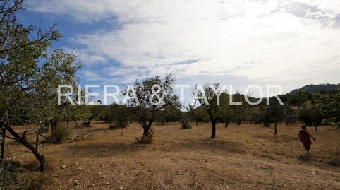 Rustic property for sale in Sant Llorenç des Cardassar