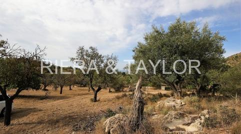 Rustic property for sale in Sant Llorenç des Cardassar